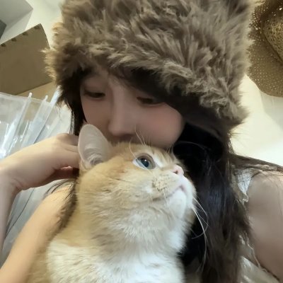鱼影之群
